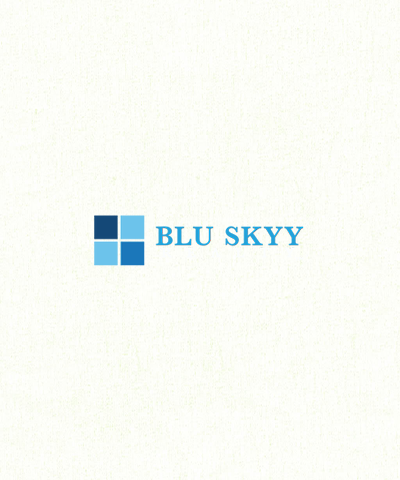 Blu Skyy Realty