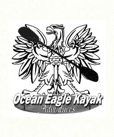 Ocean Eagle Kayak