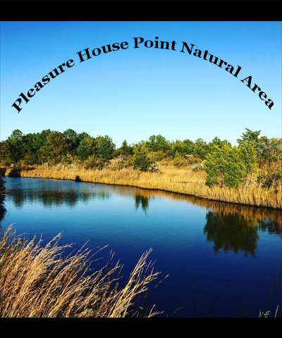 Pleasure House Point Natural Area